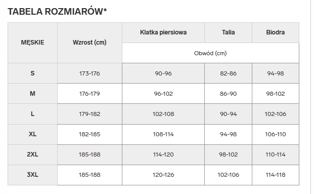 Nowy! Oryginalny 4F t-shirt męski XL niebieski z małym srebrnym logo (664)